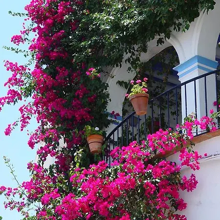 Hotel Rincon