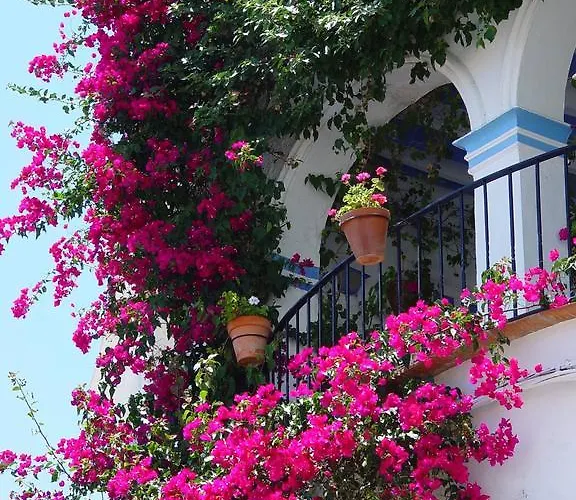 Hotel Rincon